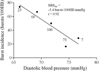 The Stability and Repeatability of Spontaneous Sympathetic Baroreflex Sensitivity in Healthy Young Individuals